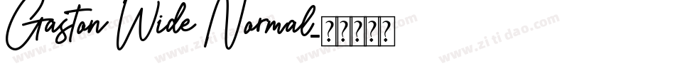 Gaston Wide Normal字体转换